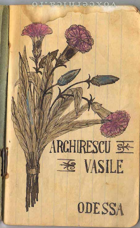 Amintirile razboiului mondial. Jurnal de front Vasile Arghirescu. 1916-1917.