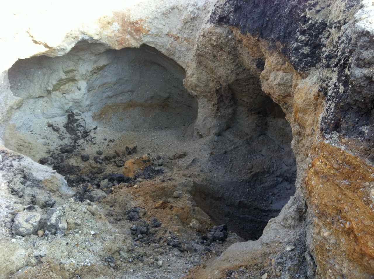 dezastru ecologic la caldararu