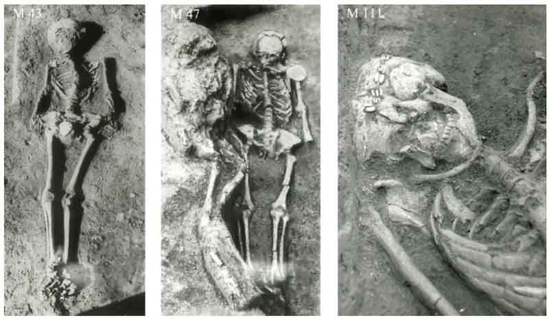 Despre datarea necropolei neolitice de la Cernica. Dr. Eugen Comsa. 1992