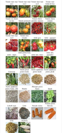 Banca de gene suceava