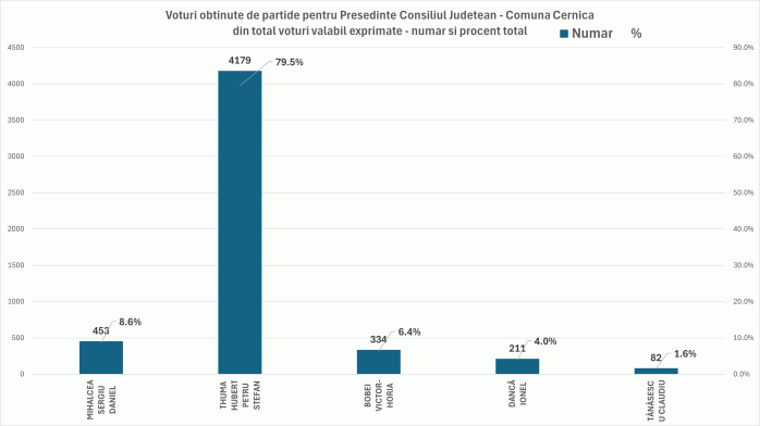 alegeri presedinte consiliu judetean cernica 2024
