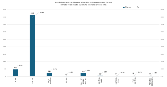 consiliul judetean alegeri iunie 2024 cernica